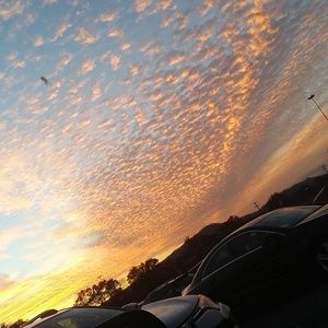 Meet your Posher, Eva